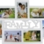 Bilderrahmen Galerie Family weiß für 7 Fotos 10 x 15 cm -