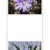 DIN A4 Vorhang mit 9 Taschen Querformat Fotovorhang Fotowand Fotogalerie Fototaschen Fotohalter Taschenvorhang Fotos A 4 Dokumente -